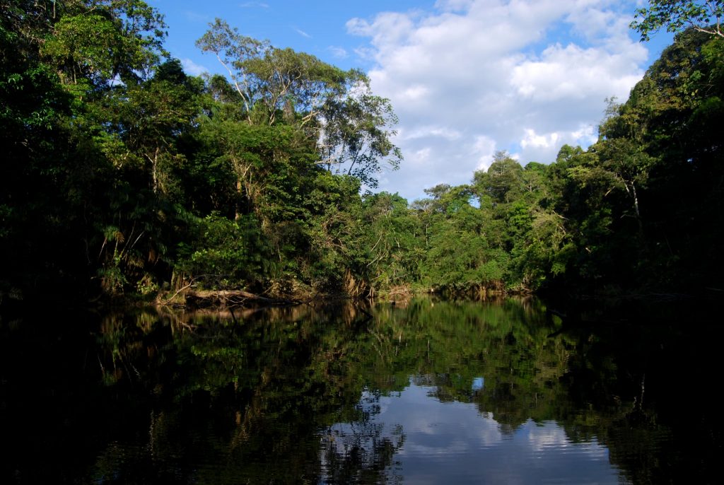 Amazon-Rainforest-South-America